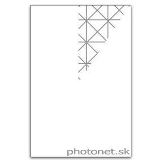 LEE 100mm Star Segment 8x selektívny hviezdicový filter